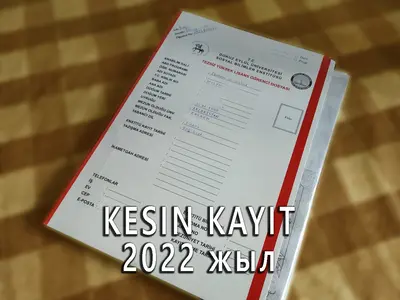 Сексуалдық анимациялық ашық хаттар